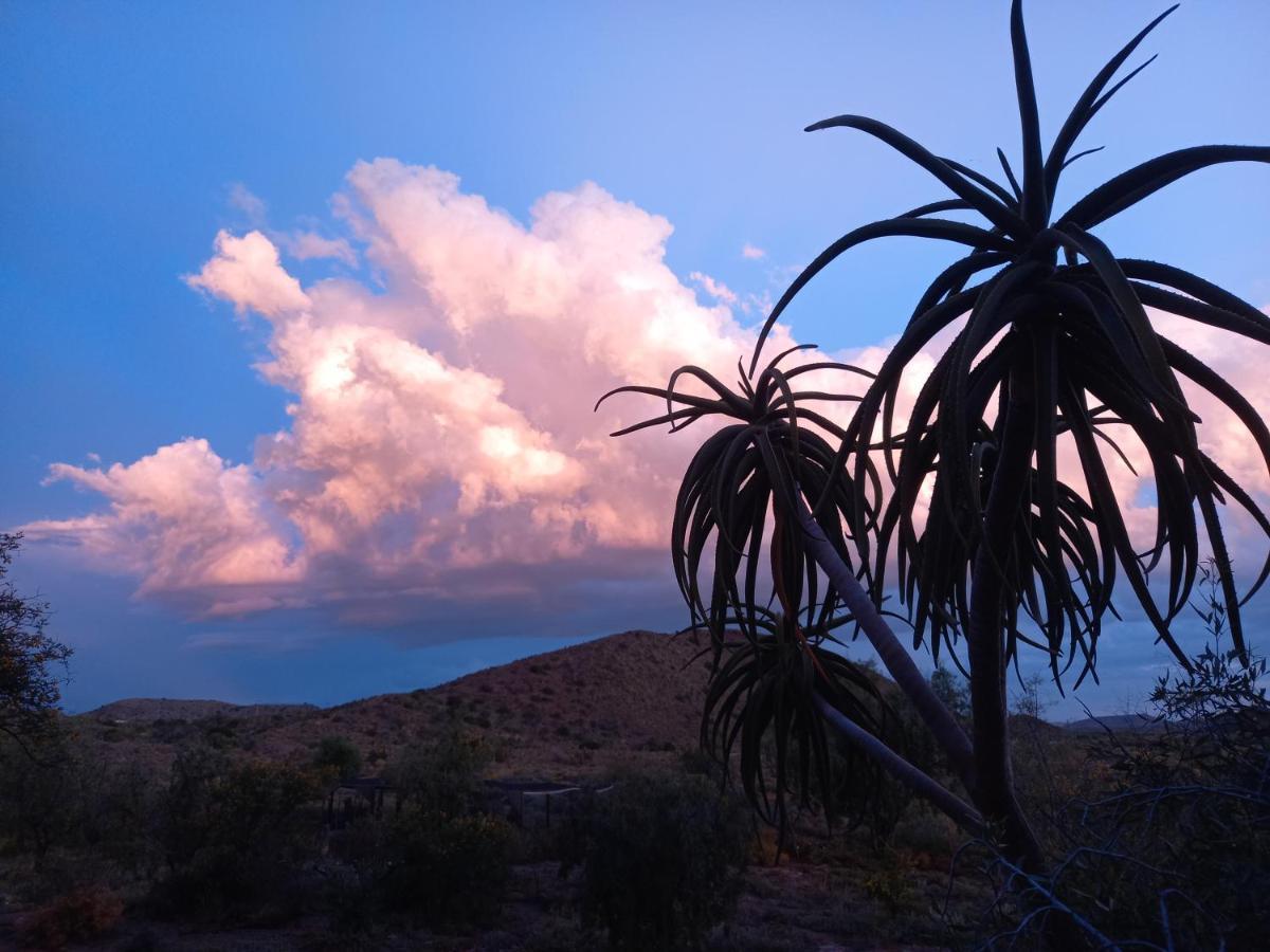 Wolverfontein Karoo Cottages Ladismith Eksteriør bilde
