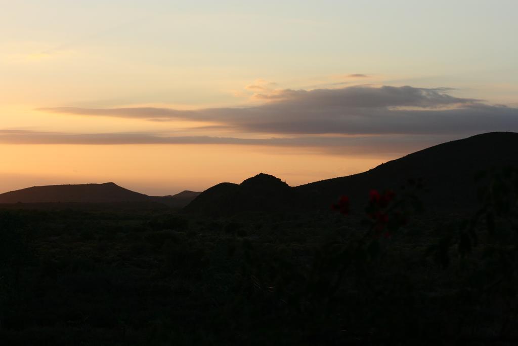 Wolverfontein Karoo Cottages Ladismith Eksteriør bilde